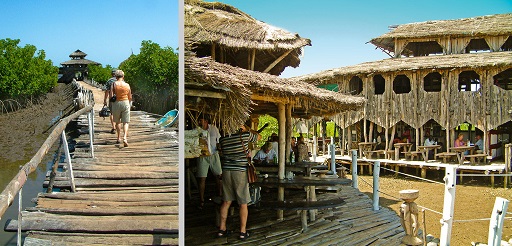 boat trips gambia