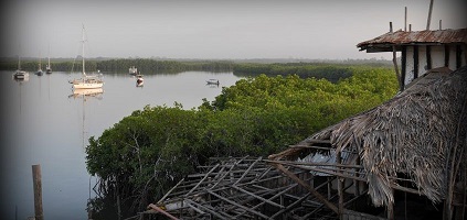 boat trips gambia